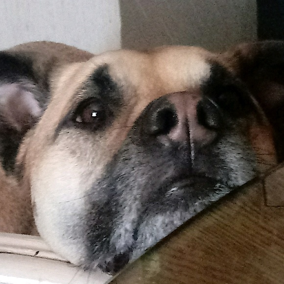 Meet your Posher, Kathy - Picture 1 of 1